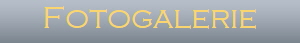 Fotogalerie